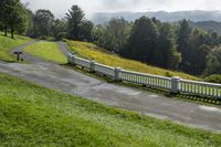 a road winding through a lush green park filled with trees and grass next to a park bench