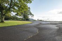 the paved road has green grass by the side of it and has two trees at the side of each end