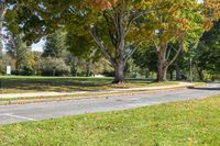 a park bench that is by some trees and grass next to the road with a sign