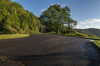 road on top of hill next to trees near sky line in park setting with grass and trees