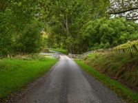 North Island Road: Through Forests and Clouds