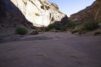 a rock gorge with scrubbeds and trees inside of it in the desert between two mountains