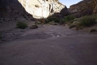 a rock gorge with scrubbeds and trees inside of it in the desert between two mountains