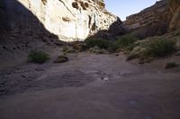 a rock gorge with scrubbeds and trees inside of it in the desert between two mountains