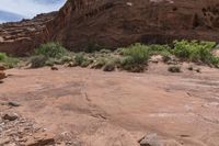 a couple of people riding horses on top of a hill next to some rocks and brush