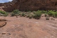 a couple of people riding horses on top of a hill next to some rocks and brush