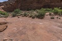 a couple of people riding horses on top of a hill next to some rocks and brush