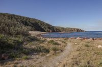 the coast of an ocean surrounded by rocks and grass with an airplane in the distance