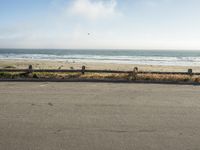 Ocean Shore: Sandy Beaches on the California Coast