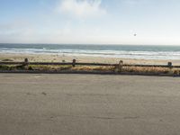 Ocean Shore: Sandy Beaches on the California Coast