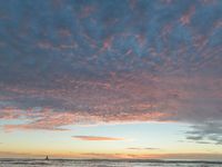 Ocean Shore in San Francisco: A Sunny Beach Experience