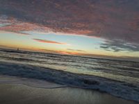 Ocean Shore in San Francisco: A Sunny Beach Experience