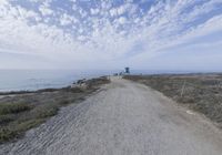 Ocean View from Cliff Top Road