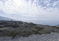 Ocean View from Cliff Top Road