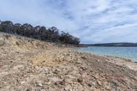 some rocky and tree lined beach area with a few rocks and water in the foreground