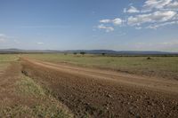 Off-Road Adventure in the African Savanna