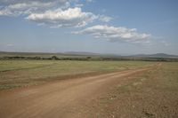 a dirt road through an open plain area with large trees in the distance, and some clouds overhead