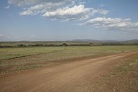 a dirt road through an open plain area with large trees in the distance, and some clouds overhead