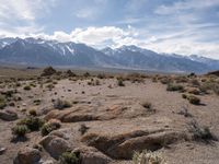 Off-Road Adventure in Alabama Hills