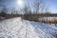 Off-Road Adventure in Canadian Nature