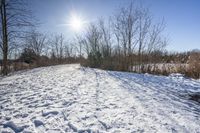 Off-Road Adventure in Canadian Nature