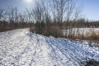 Off-Road Adventure in Canadian Nature