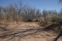 Off Road Adventure in Capitol Reef, Utah