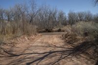 Off Road Adventure in Capitol Reef, Utah