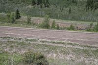 Off-Road Adventure in Colorado: Forest and Grass