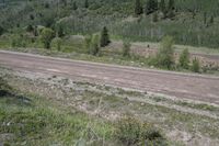 Off-Road Adventure in Colorado: Forest and Grass