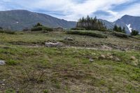 a dirt road passing between a grassy hillside and mountain range in the distance with a forest and mountain range