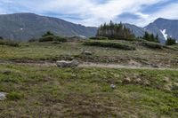 a dirt road passing between a grassy hillside and mountain range in the distance with a forest and mountain range