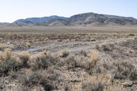 a dirt road in the middle of dry, arid terrain and mountains in the distance