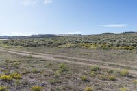 field with dirt and yellow flowers under a blue sky with white clouds in the distance