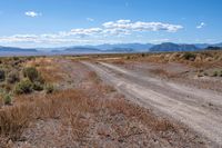 Off Road Adventure in California's Desert Landscape