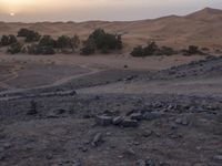 a truck on a dirt road in the desert with rocks and stones on the ground