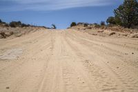 a dirt road with trees in the distance, and rocks all around the track and sand