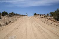 a dirt road with trees in the distance, and rocks all around the track and sand