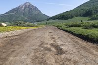 Off-Road Adventure in Colorado Forest: Exploring the Beauty of Nature