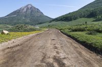 Off-Road Adventure in Colorado Forest: Exploring the Beauty of Nature