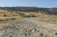 Off-Road Adventure in Kelowna, British Columbia