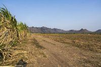 Off-Road Adventure in Thailand