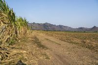 Off-Road Adventure in Thailand