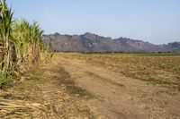 Off-Road Adventure in Thailand