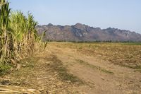 Off-Road Adventure in Thailand