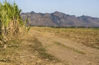 Off-Road Adventure in Thailand