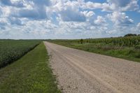 Off-Road Adventure in the Iowa Prairie
