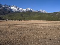 Off-Road Adventure: From Lijiang to Shangri-La