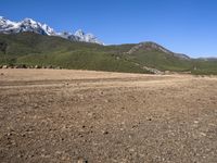 Off-Road Adventure: From Lijiang to Shangri-La