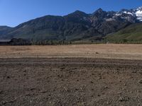 a lone horse stands in an open plain with mountains in the distance in this file